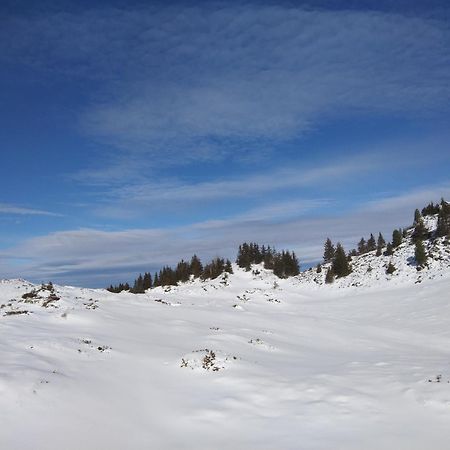 Le Chalet Theys Zewnętrze zdjęcie