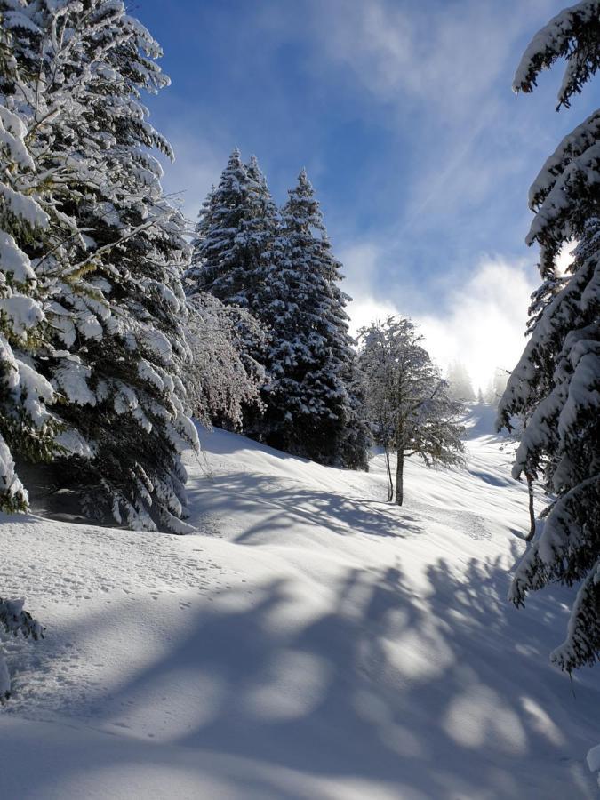 Le Chalet Theys Zewnętrze zdjęcie